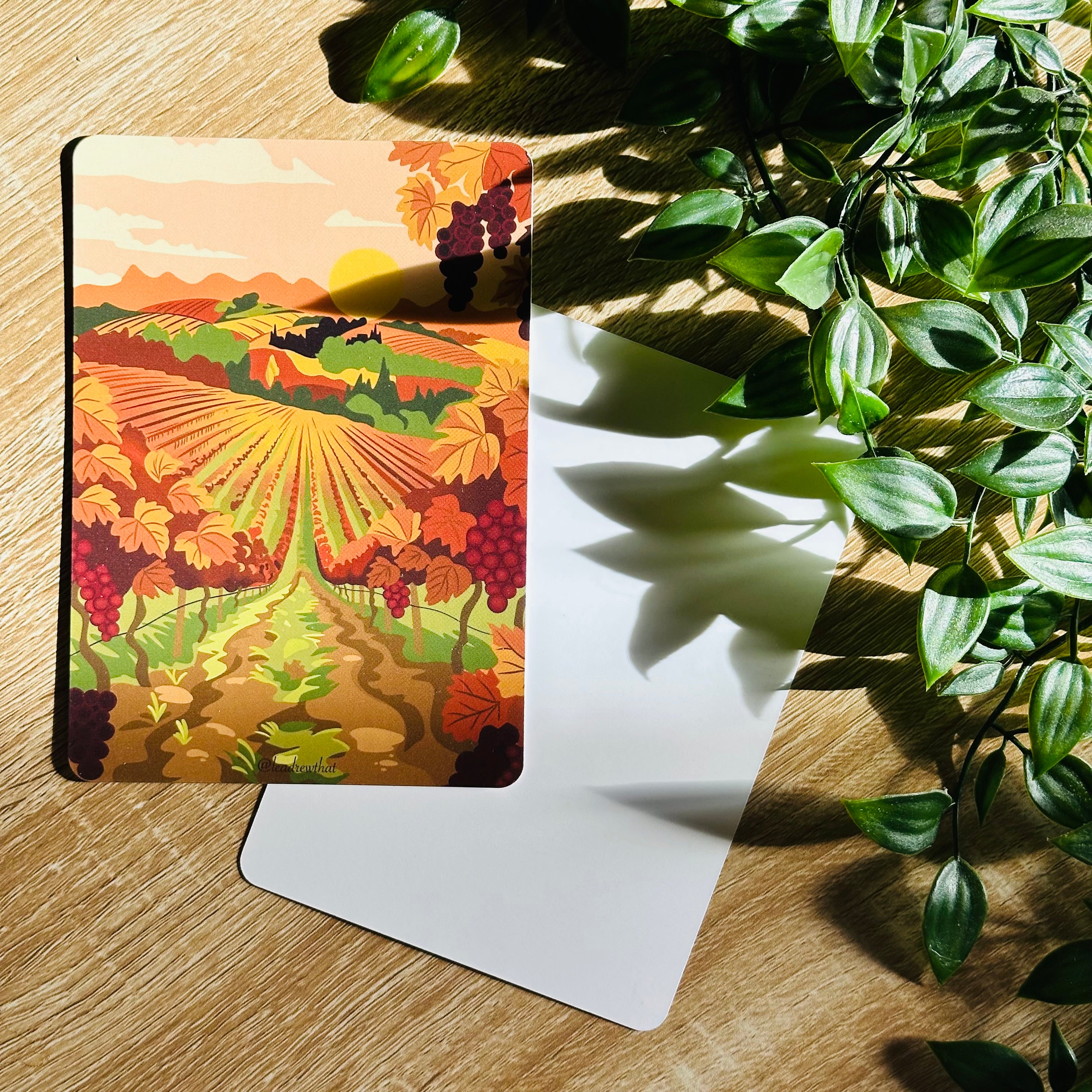 Carte postale - Le chemin de vigne