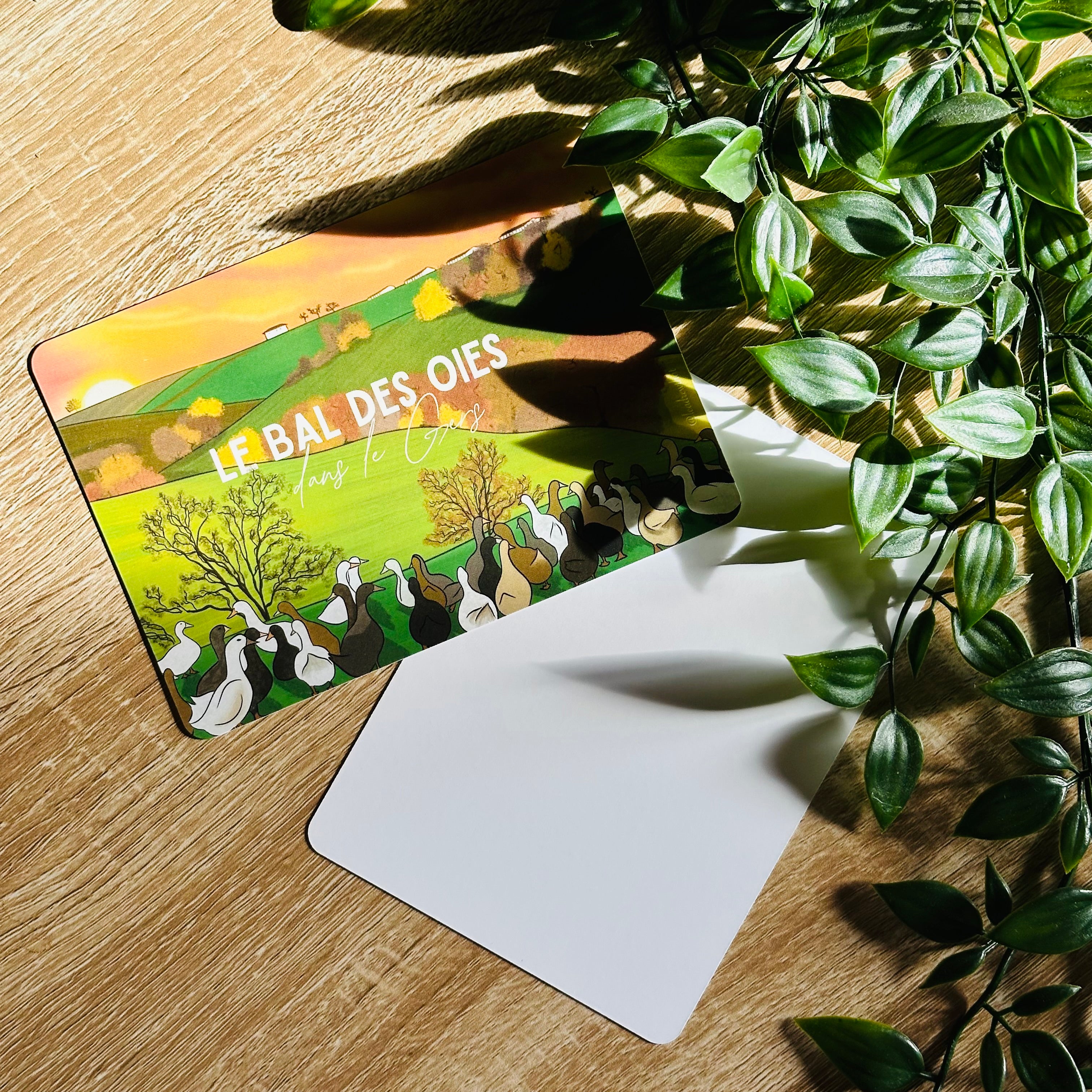 Carte postale - Le bal des oies