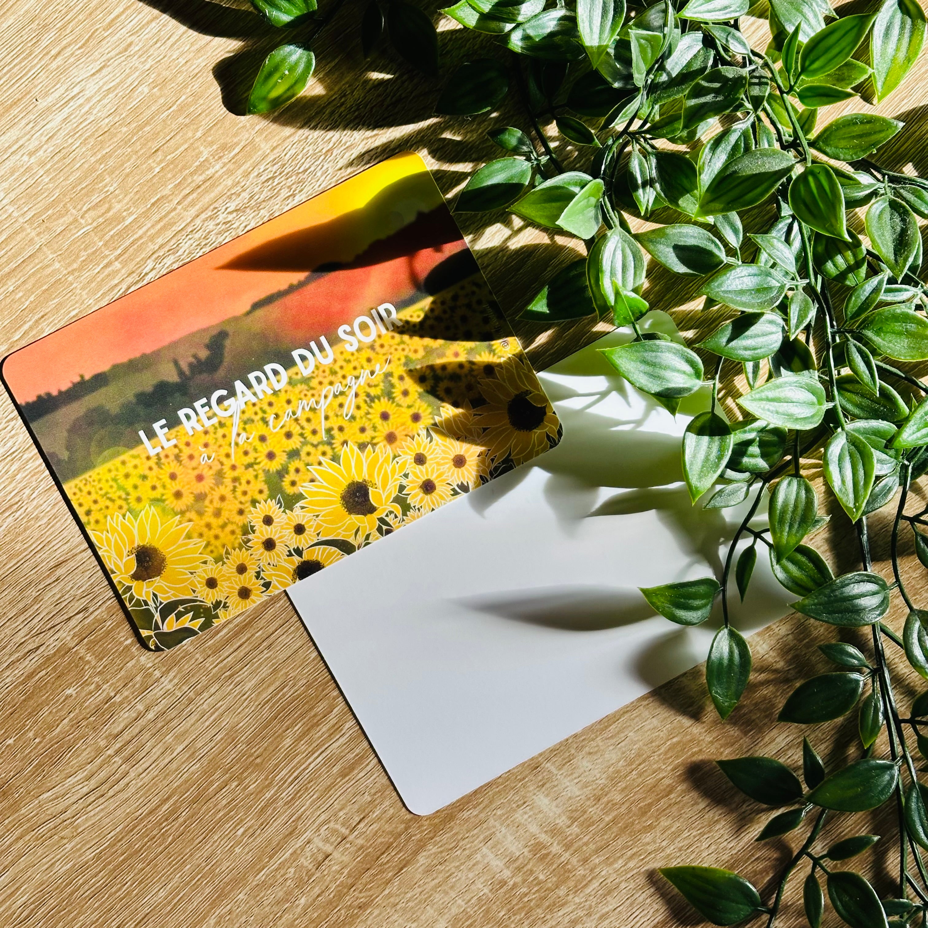 Carte postale - Le regard du soir